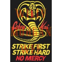 Cobra Kai 3